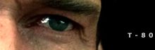 Enterbay Battle Damage T-800