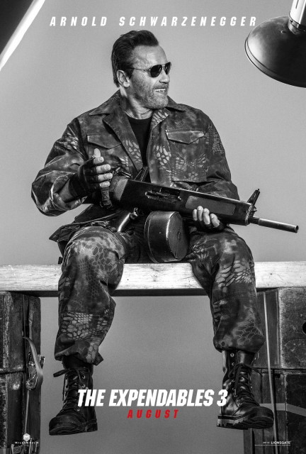 Arnold Schwarzenegger The Expendables 3 Poster