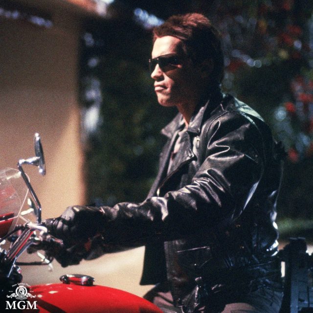 Arnold Schwarzenegger The Terminator
