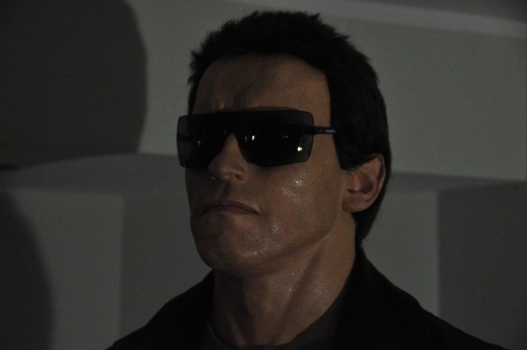 Gargoyle Sunglasses Terminator Statue