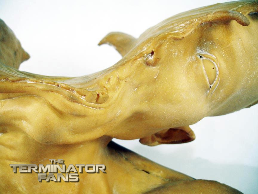 Terminator 2: Judgment Day T-1000 Splash Head Prop