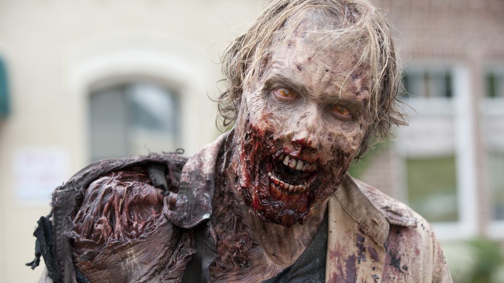 The Walking Dead Zombie