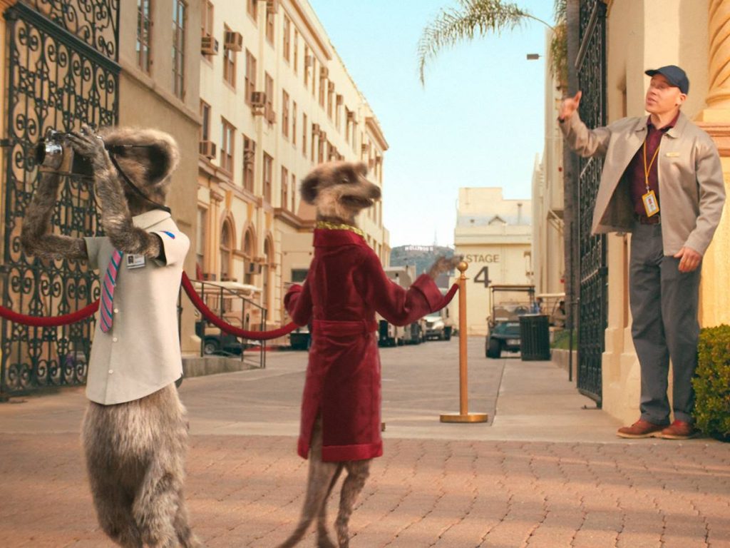 Compare The Meerkat Paramount Pictures