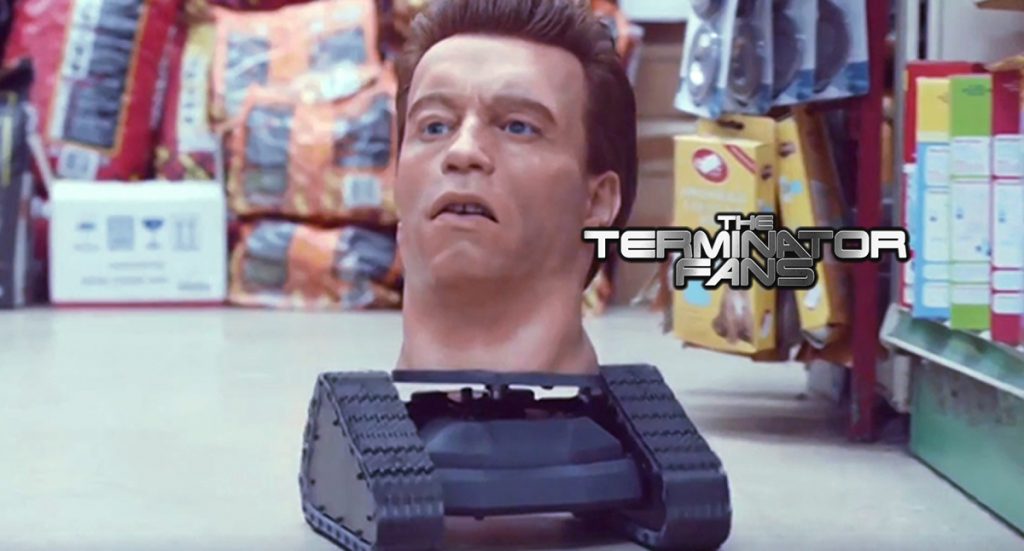 PPI Terminator Schwarzenegger