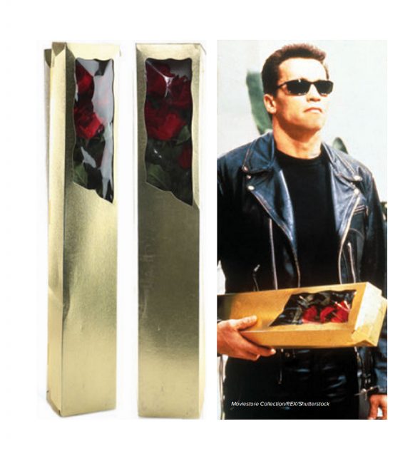 Terminator 2 The Terminator’s (Arnold Schwarzenegger) Hero Rose Box